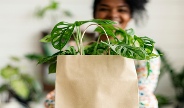 A Guide to Starting a Sustainable Shopping Journey